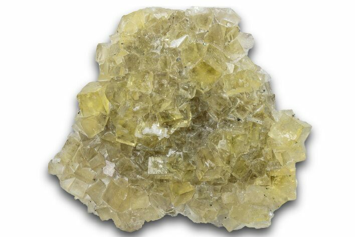 Gemmy Yellow Fluorite Cluster - Fluorescent! #258415